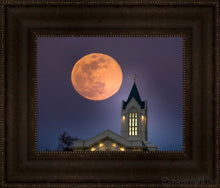 Load image into Gallery viewer, Fort Collins Night Flight Open Edition Print / 14 X 11 Frame T 17 3/4 20 Art
