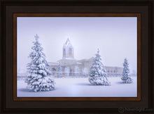 Load image into Gallery viewer, Fort Collins Protection From The Storm Open Edition Canvas / 18 X 12 Frame N 16 3/4 22 Art
