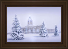 Load image into Gallery viewer, Fort Collins Protection From The Storm Open Edition Canvas / 18 X 12 Frame S 16 1/4 22 Art
