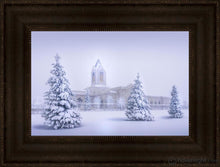 Load image into Gallery viewer, Fort Collins Protection From The Storm Open Edition Canvas / 18 X 12 Frame T 3/4 24 Art
