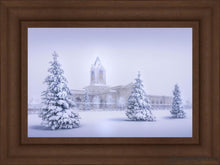 Load image into Gallery viewer, Fort Collins Protection From The Storm Open Edition Canvas / 24 X 16 Frame B 23 3/4 31 Art
