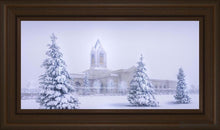 Load image into Gallery viewer, Fort Collins Protection From The Storm Open Edition Canvas / 30 X 15 Frame E 21 3/4 36 Art
