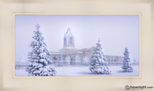 Load image into Gallery viewer, Fort Collins Protection From The Storm Open Edition Canvas / 30 X 15 Frame L 22 37 Art
