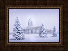 Load image into Gallery viewer, Fort Collins Protection From The Storm Open Edition Canvas / 30 X 20 Frame A 40 Art
