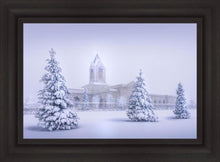 Load image into Gallery viewer, Fort Collins Protection From The Storm Open Edition Canvas / 30 X 20 Frame B 27 3/4 37 Art
