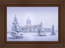Load image into Gallery viewer, Fort Collins Protection From The Storm Open Edition Canvas / 30 X 20 Frame C 27 3/4 37 Art

