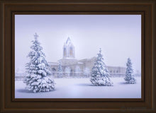 Load image into Gallery viewer, Fort Collins Protection From The Storm Open Edition Canvas / 30 X 20 Frame E 26 3/4 36 Art
