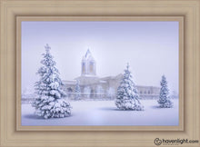 Load image into Gallery viewer, Fort Collins Protection From The Storm Open Edition Canvas / 30 X 20 Frame I 27 3/4 37 Art
