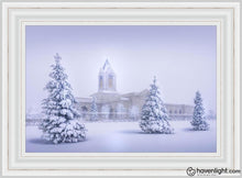 Load image into Gallery viewer, Fort Collins Protection From The Storm Open Edition Canvas / 30 X 20 Frame V 27 3/4 37 Art
