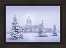 Load image into Gallery viewer, Fort Collins Protection From The Storm Open Edition Canvas / 36 X 24 Frame B 31 3/4 43 Art
