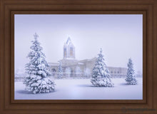 Load image into Gallery viewer, Fort Collins Protection From The Storm Open Edition Canvas / 36 X 24 Frame F 31 3/4 43 Art
