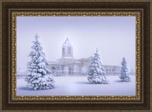 Load image into Gallery viewer, Fort Collins Protection From The Storm Open Edition Canvas / 36 X 24 Frame M 33 3/4 45 Art

