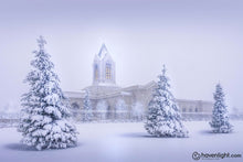 Load image into Gallery viewer, Fort Collins Protection From The Storm Open Edition Canvas / 36 X 24 Print Only Art

