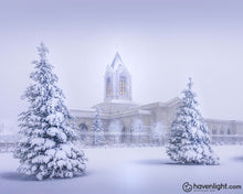 Load image into Gallery viewer, Fort Collins Protection From The Storm Open Edition Print / 10 X 8 Only Art

