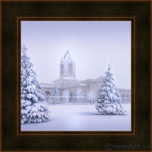 Load image into Gallery viewer, Fort Collins Protection From The Storm Open Edition Print / 12 X Frame A 16 1/4 Art
