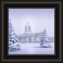 Load image into Gallery viewer, Fort Collins Protection From The Storm Open Edition Print / 12 X Frame B 16 1/4 Art
