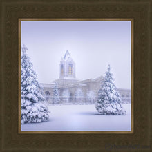 Load image into Gallery viewer, Fort Collins Protection From The Storm Open Edition Print / 12 X Frame G 16 1/4 Art
