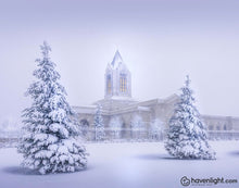 Load image into Gallery viewer, Fort Collins Protection From The Storm Open Edition Print / 14 X 11 Only Art
