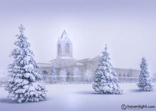 Load image into Gallery viewer, Fort Collins Protection From The Storm Open Edition Print / 7 X 5 Only Art
