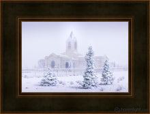 Load image into Gallery viewer, Fort Collins Shelter From The Storm Open Edition Canvas / 12 X 18 Frame A 25 19 Art
