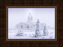 Load image into Gallery viewer, Fort Collins Shelter From The Storm Open Edition Canvas / 20 X 30 Frame A 40 Art
