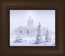 Load image into Gallery viewer, Fort Collins Shelter From The Storm Open Edition Print / 11 X 14 Frame C 19 3/4 16 Art
