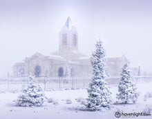 Load image into Gallery viewer, Fort Collins Shelter From The Storm Open Edition Print / 11 X 14 Only Art

