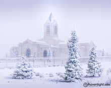 Load image into Gallery viewer, Fort Collins Shelter From The Storm Open Edition Print / 8 X 10 Only Art
