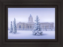 Load image into Gallery viewer, Fort Collins Storm Shelter Open Edition Canvas / 24 X 16 Frame A 23 3/4 31 Art
