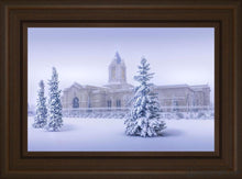 Load image into Gallery viewer, Fort Collins Storm Shelter Open Edition Canvas / 24 X 16 Frame E 22 3/4 30 Art

