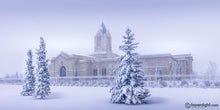 Load image into Gallery viewer, Fort Collins Storm Shelter Open Edition Canvas / 30 X 15 Print Only Art
