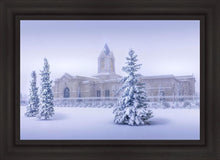 Load image into Gallery viewer, Fort Collins Storm Shelter Open Edition Canvas / 36 X 24 Frame B 31 3/4 43 Art
