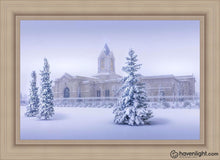 Load image into Gallery viewer, Fort Collins Storm Shelter Open Edition Canvas / 36 X 24 Frame I 31 3/4 43 Art

