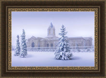 Load image into Gallery viewer, Fort Collins Storm Shelter Open Edition Canvas / 36 X 24 Frame M 33 3/4 45 Art
