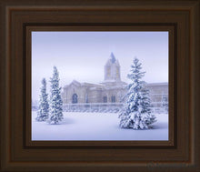 Load image into Gallery viewer, Fort Collins Storm Shelter Open Edition Print / 10 X 8 Frame C 12 1/4 14 Art
