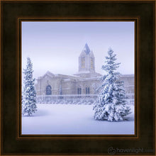 Load image into Gallery viewer, Fort Collins Storm Shelter Open Edition Print / 12 X Frame A 16 1/4 Art
