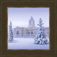 Load image into Gallery viewer, Fort Collins Storm Shelter Open Edition Print / 12 X Frame G 16 1/4 Art
