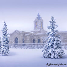 Load image into Gallery viewer, Fort Collins Storm Shelter Open Edition Print / 12 X Only Art
