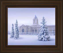 Load image into Gallery viewer, Fort Collins Storm Shelter Open Edition Print / 14 X 11 Frame S 15 1/4 18 Art
