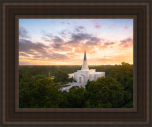 Load image into Gallery viewer, Houston From On High Open Edition Canvas / 11 X 14 Brown Frame Art
