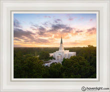 Load image into Gallery viewer, Houston From On High Open Edition Canvas / 11 X 14 White Frame Art
