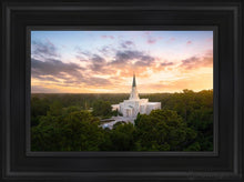 Load image into Gallery viewer, Houston From On High Open Edition Canvas / 12 X 18 Black Frame Art
