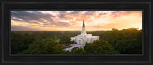 Load image into Gallery viewer, Houston From On High Open Edition Canvas / 12 X 36 Black Frame Art
