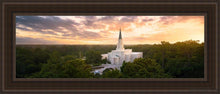 Load image into Gallery viewer, Houston From On High Open Edition Canvas / 12 X 36 Brown Frame Art

