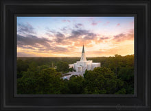 Load image into Gallery viewer, Houston From On High Open Edition Canvas / 14 X 21 Black Frame Art
