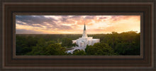 Load image into Gallery viewer, Houston From On High Open Edition Canvas / 6 X 18 Brown Frame Art
