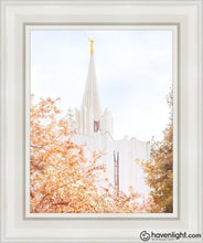 Load image into Gallery viewer, Jordan River Spring Blossoms Open Edition Canvas / 11 X 14 White Frame Art

