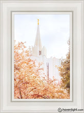 Load image into Gallery viewer, Jordan River Spring Blossoms Open Edition Canvas / 12 X 18 White Frame Art
