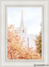 Load image into Gallery viewer, Jordan River Spring Blossoms Open Edition Canvas / 14 X 21 White Frame Art

