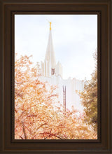 Load image into Gallery viewer, Jordan River Spring Blossoms Open Edition Canvas / 20 X 30 Brown Frame Art
